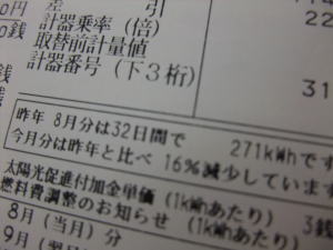 YUWA大きなお花の乙女なスマホケース♪_f0023333_18231810.jpg