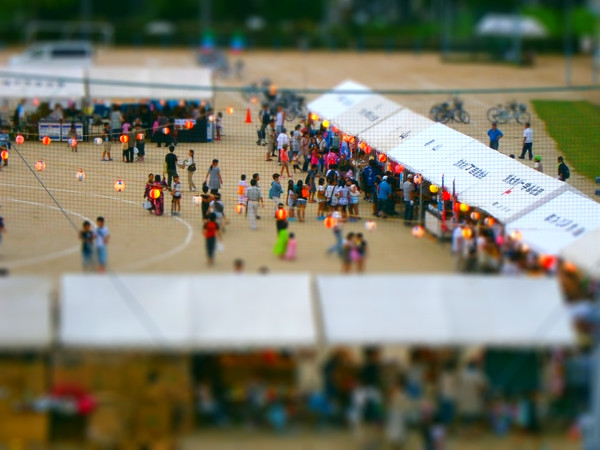 d0065835_1734140.jpg