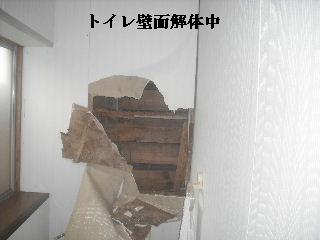 土壁補修工事_f0031037_21122376.jpg