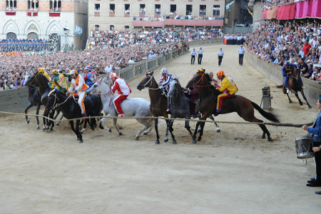 シエナ　8月のパリオ　In 2011　優勝旗Palioの行方_f0230537_20105827.jpg