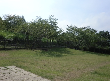 d0169340_0111090.jpg