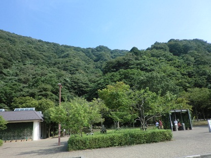 d0169340_083179.jpg