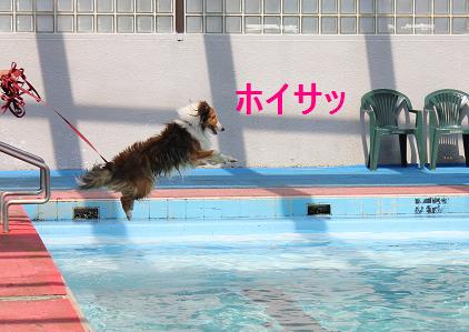 水に入ると悪い子発揮;_e0195743_4385874.jpg