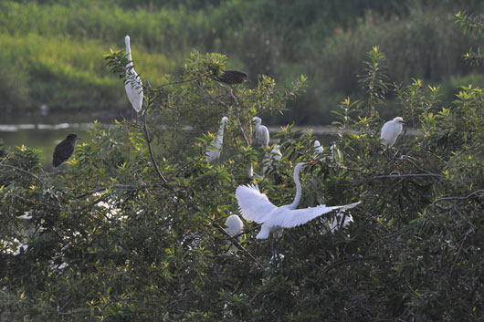 c0093046_814947.jpg
