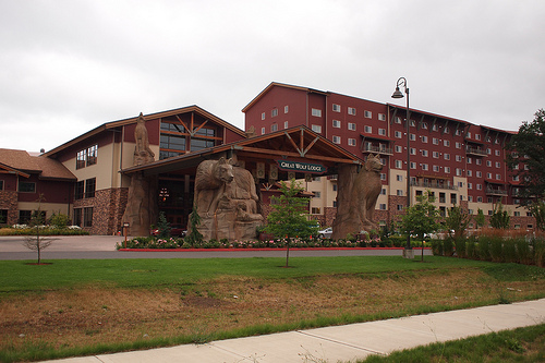 Great Wolf Lodge(グレイト　ウルフロッジ)での夏休み_e0130949_2575259.jpg