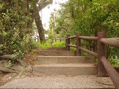 d0138650_03455.jpg