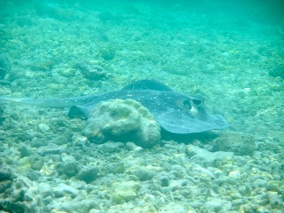 f0190653_1452662.jpg