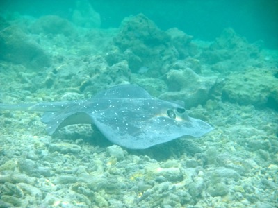f0190653_1452990.jpg
