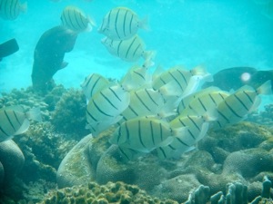 f0190653_1454691.jpg