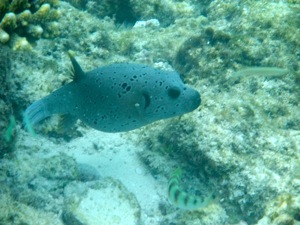 f0190653_1471993.jpg