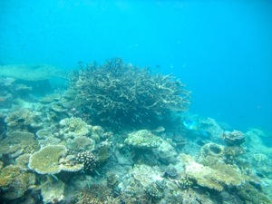 f0190653_1474512.jpg