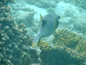 f0190653_14764.jpg