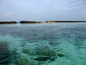 f0190653_1483096.jpg