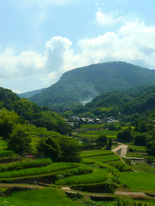 涼しい夏の日。_f0074254_1742244.jpg