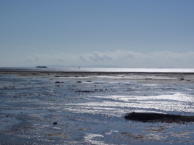 c0180460_1014763.jpg