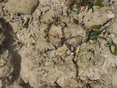 c0180460_9394490.jpg