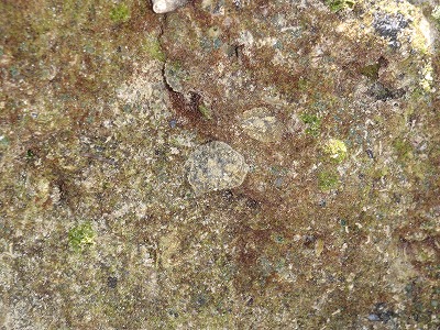 c0180460_9425423.jpg