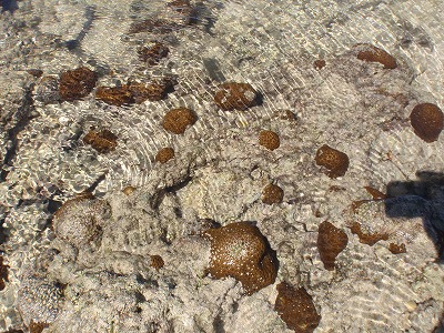 c0180460_947464.jpg
