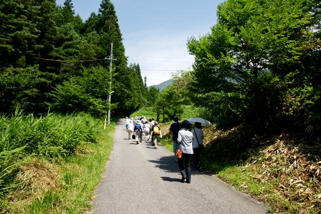 巨木・名木探訪と森林浴     （平成23年 8月18日）_f0226960_15222942.jpg