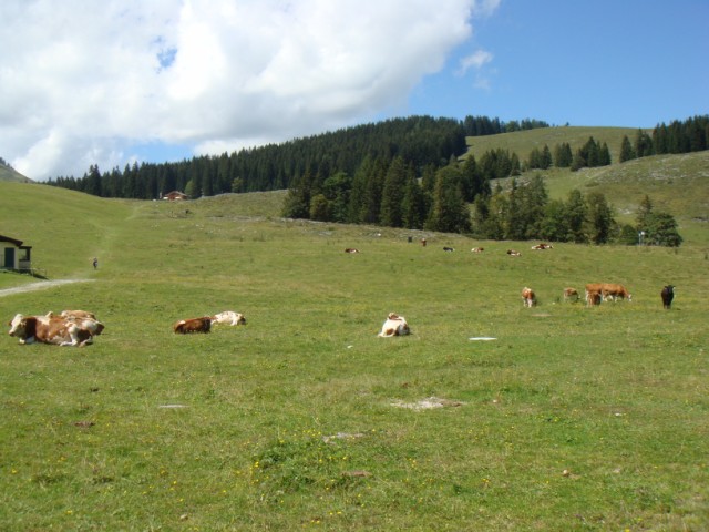 d0116376_16281744.jpg