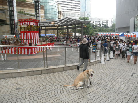 f0052277_20233440.jpg