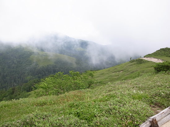a0094280_1633881.jpg