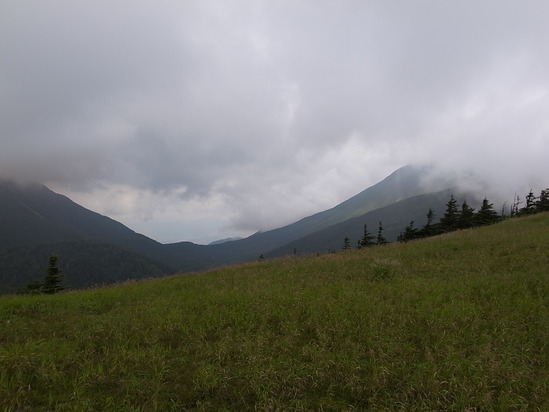 a0094280_82918.jpg