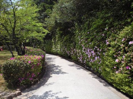 五月晴れで山口 (山陽)_b0005281_2313212.jpg