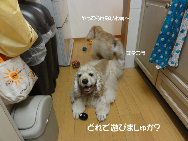 f0218182_217358.jpg