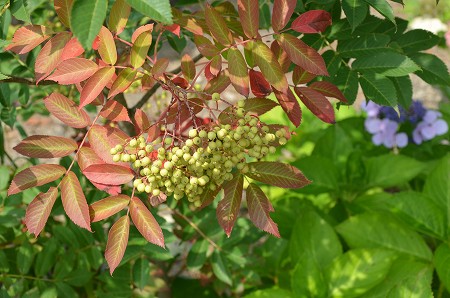 c0229483_21354663.jpg