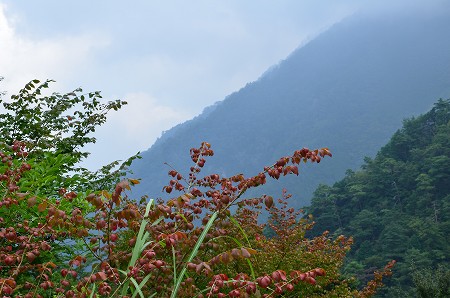 c0229483_21393551.jpg