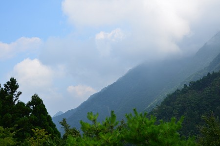 c0229483_21395233.jpg