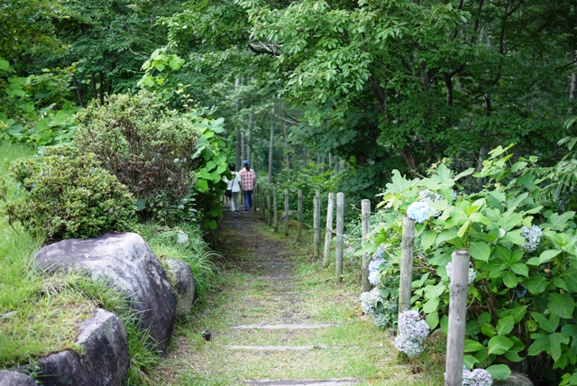 a0127090_21223568.jpg
