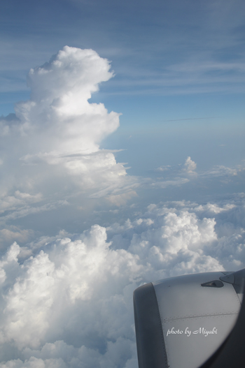 a0161698_85047.jpg
