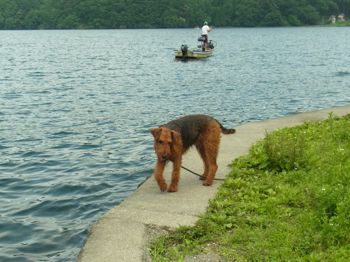 7月2日、野尻湖~戸隠〜_a0218499_1517472.jpg