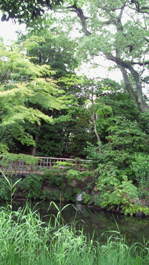 e0148100_20275594.jpg