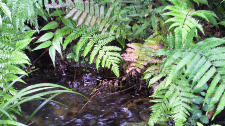 e0148100_2030576.jpg