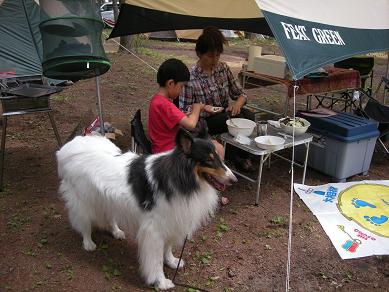 夏のワンキャン　第２弾　ｉｎ北軽井沢　その２_f0081100_1053065.jpg