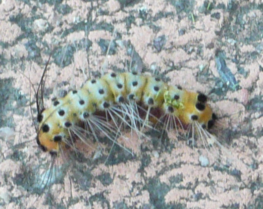 c0024502_16311022.jpg