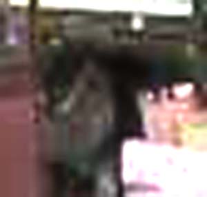 e0103408_8163887.jpg