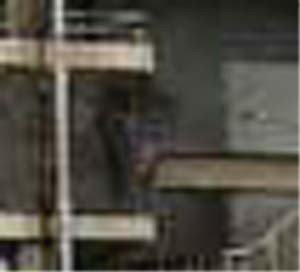 e0103408_8183427.jpg