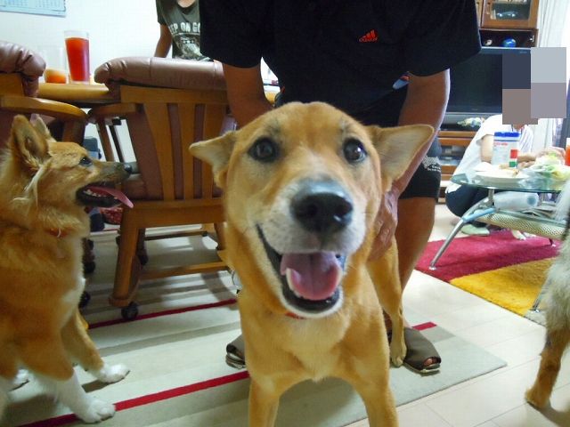 f0218911_1837263.jpg