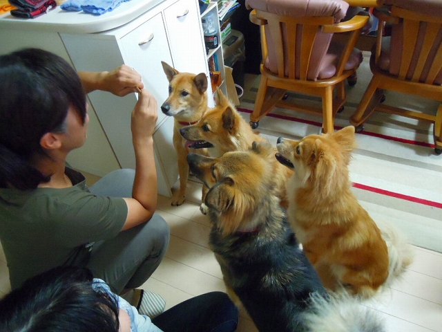 f0218911_1838825.jpg