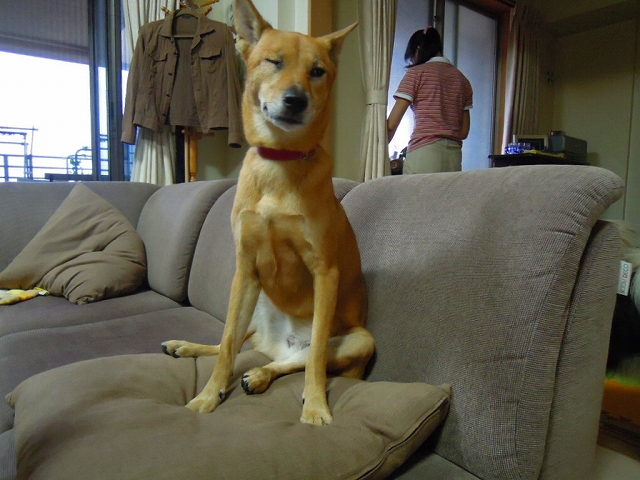 f0218911_18415949.jpg