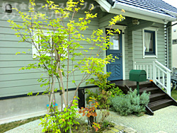 e0100618_19365498.jpg