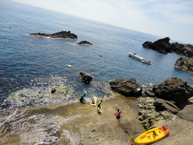 f0127021_1055765.jpg