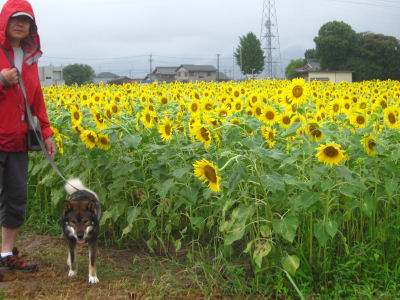 f0143123_200741.jpg