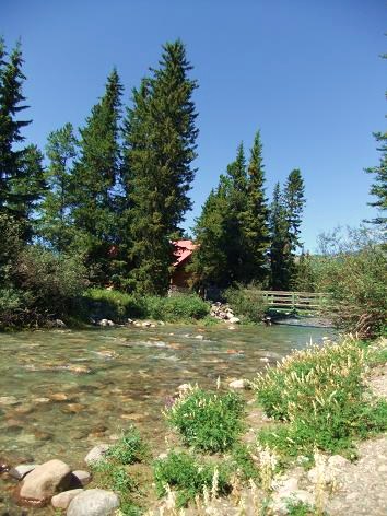 f0111926_14505363.jpg