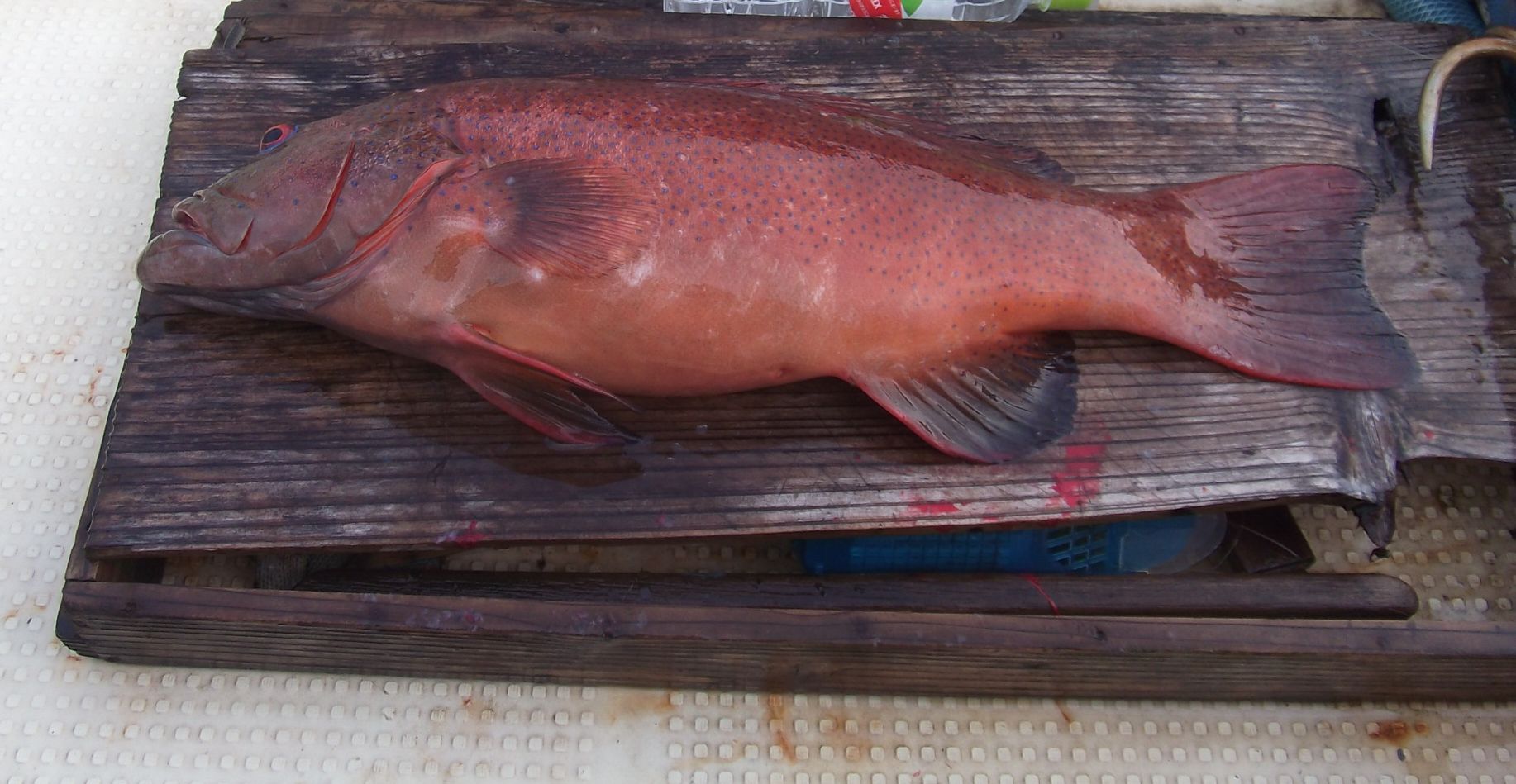 c0222430_10201366.jpg