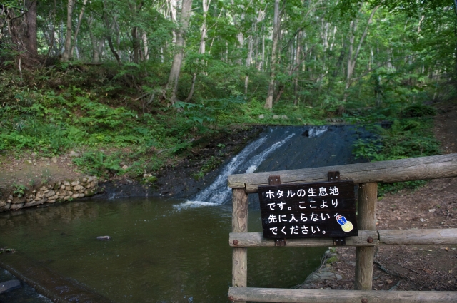 公園デビュー_c0051132_1930272.jpg